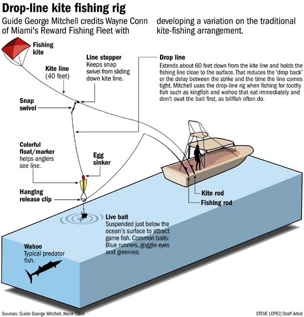Kites are functional too - Fishing, kitesurfing & advertising.